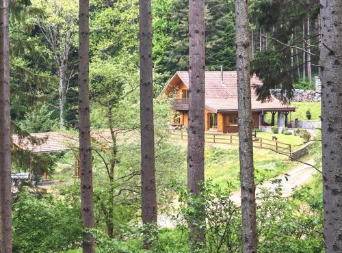 "Le Domaine du Cerf" Chalet isolé pleine Nature 7 à 10 pers